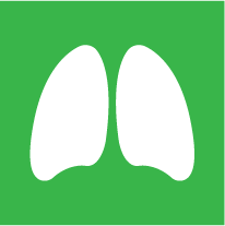 Our Green Lung